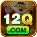 12q Live Casino Master